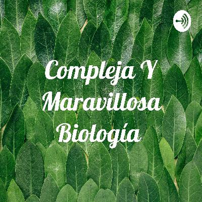 ¿Vivos o muertos? Los virus