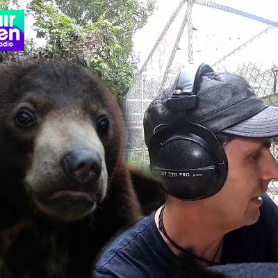 [Ep21] Le plus petit ours du monde