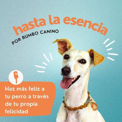 53. Reactividad canina sin filtros con Héctor de Perropensante