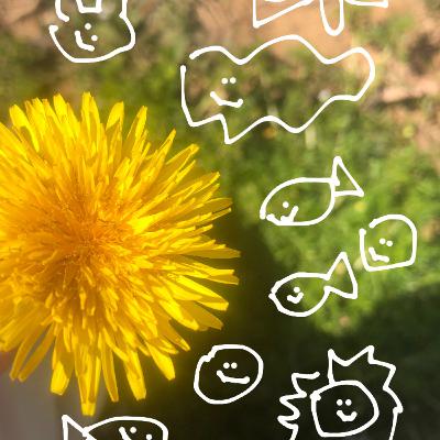 自己肯定感を上げたい人はこっちだよ