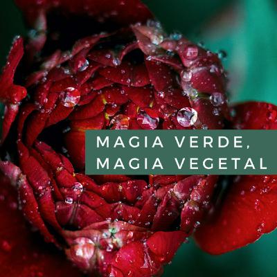 Magia Verde, Magia Vegetal. Cap. 7 Las verdaderas plantas de poder