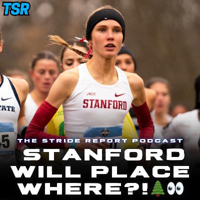 BOLD PREDICTIONS: Stanford Will Place Where??? 🌲👀 BOLD PREDICTIONS: Stanford Will Place Where??? 🌲👀
