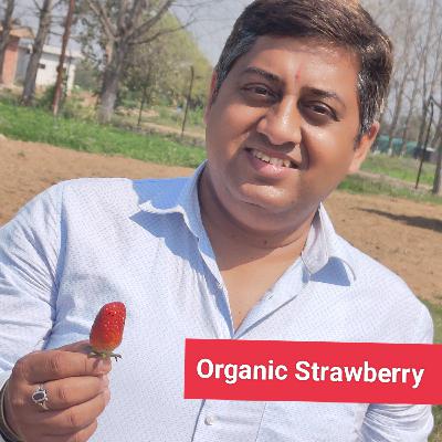 पौधे लगाने के महत्व पर रेडियो वार्ता