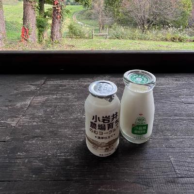 #10【岩手】車中泊なわけ