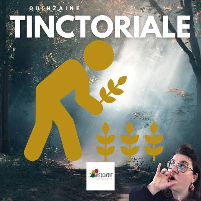 L'amont, le sourcing , les matières premières pour une couleur végétale et une filière tinctoriale forte