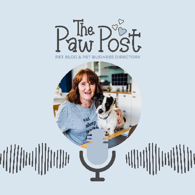 Everything you need to know about dog-friendly Norfolk with Sue Allen from East Ruston Cottages