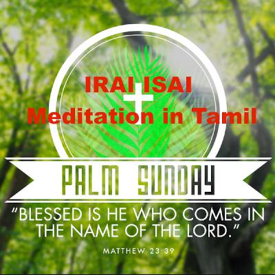 Palm Sunday - Meditation
