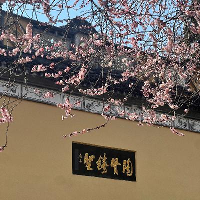 Vol.42 杭州临安 |【周末逃跑计划】隐藏的森林、禅院、古吴越国、和现代建筑