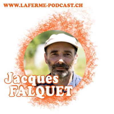 Episode 06 - Les Cueillettes de Landecy