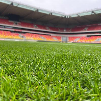 Une nouvelle technologie pour la pelouse du stade Marie-Marvingt