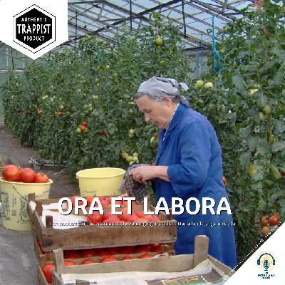 Ora et labora (NL) Ora et labora (NL)