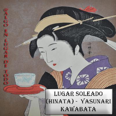 Lugar soleado (Hinata) - Yasunari Kawabata