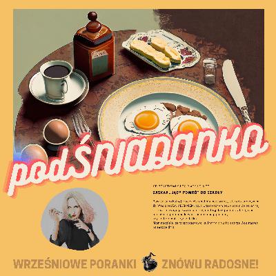 [podŚNIADANKO #3] Poszukiwania zaginionej potrawki z kurczaka [80.]