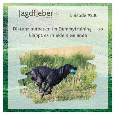 P206: Distanz aufbauen im Dummytraining – so klappt es in jedem Gelände