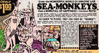 Recalling boys' magazines of yesteryear
