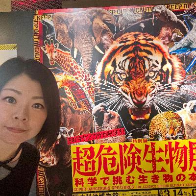 #80 ライオンより強いかわいい動物や台風より速いパンチなど「超危険生物展」を紹介 #80 ライオンより強いかわいい動物や台風より速いパンチなど「超危険生物展」を紹介