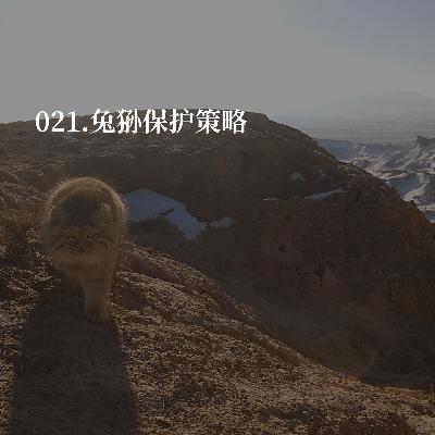021.灭鼠、干旱、栖息地开发：荒漠兔狲的生死三重门