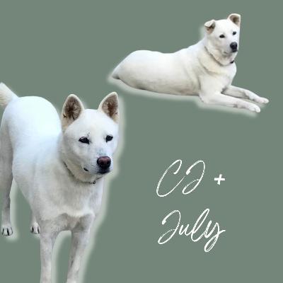 Grief and the Gift My Family Dogs Left Me Grief and the Gift My Family Dogs Left Me