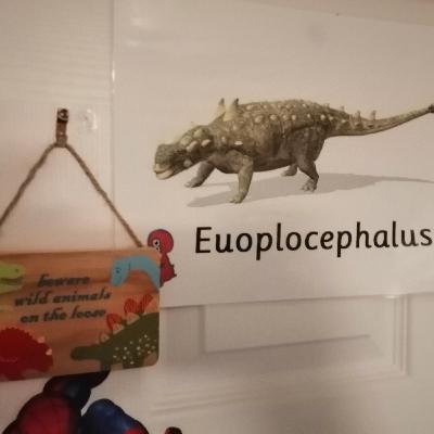Curious Dino, Euplo Bob - puts to bed a cave shimmy conspiracy.