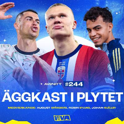 #244 Äggkast i plytet #244 Äggkast i plytet