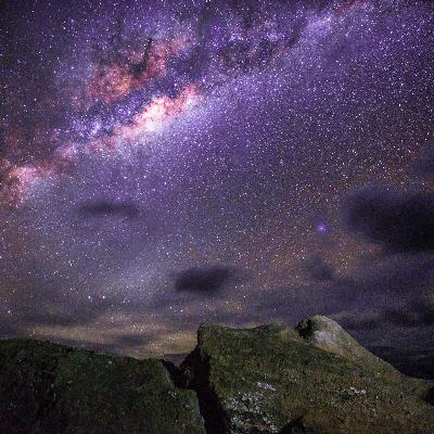 E12 *The Value of Doing Nothing