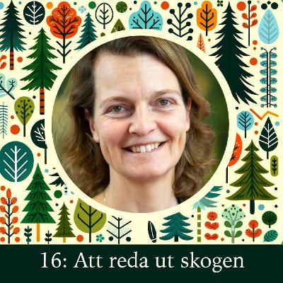Att reda ut skogen