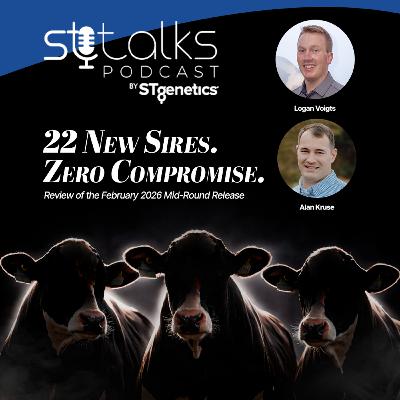 STtalks #365 - 22 New Sires. Zero Compromise: Review of the February 2026 Mid-Round Release with Logan Voigts & Alan Kruse