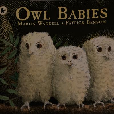 Owl Babies by Martin Waddell & Patrick Benson | Read by Naomi for Hush Little Nico