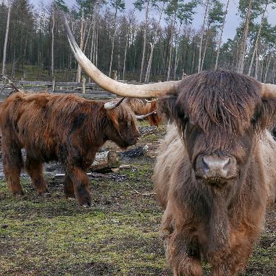 NRW-Tipp Oerlinghausen NRW-Tipp Oerlinghausen
