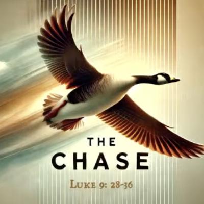 The Chase