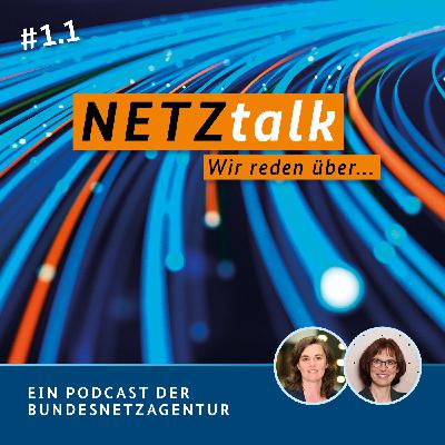 Niemand hat die Absicht, das Internet abzustellen.