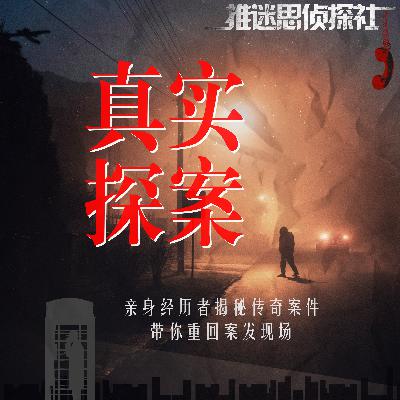便衣警察（十）