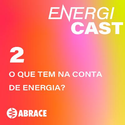 02 - O que tem na conta de energia