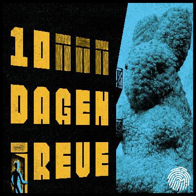 Hoofdstuk 10: het gaat slecht met deze interventie, met Dennis Gaens