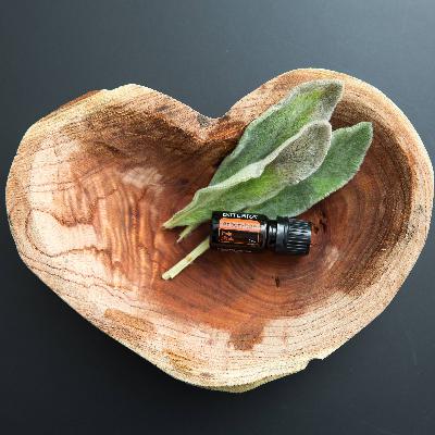 Arborvitae Olio Essenziale dōTERRA