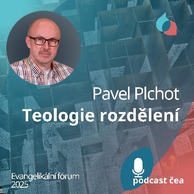 Pavel Plchot: Teologie rozdělení