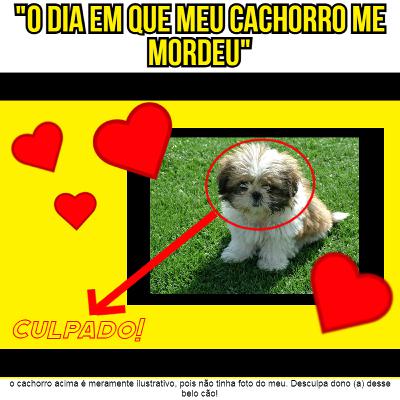"O dia em que meu cachorro me mordeu" - Por: Milena G.