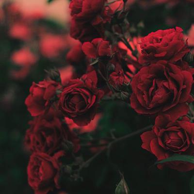 Epi 2 The monk who sold his Ferrari