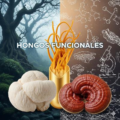 94. Hongos Funcionales: Melena de León, Cordyceps y Reishi