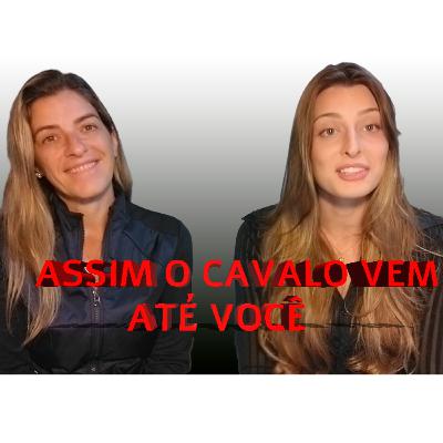 TREINAMENTO DE CHÃO NO TREINAMENTO EM LIBERDADE | Haras Stone #007