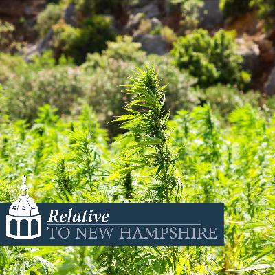 Hemp Production in New Hampshire with Cheryl Smith, Ph.D.