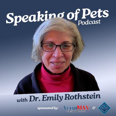 Pet Allergies Unleashed | SOP ep. 49 - Dr. Emily Rothstein