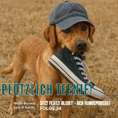 #24 Plötzlich Teenie! Was in der Hundepubertät passiert