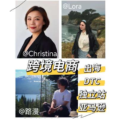 117.出海电商还赚钱吗？爆金币就可以吗？对谈美国跨境电商从业者