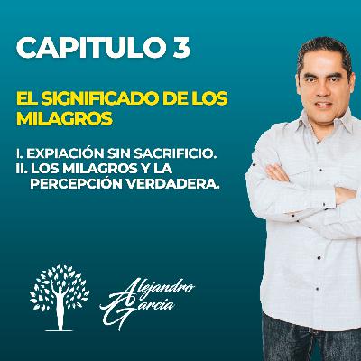 CAPÍTULO 3 - LA PERCEPCIÓN INOCENTE
