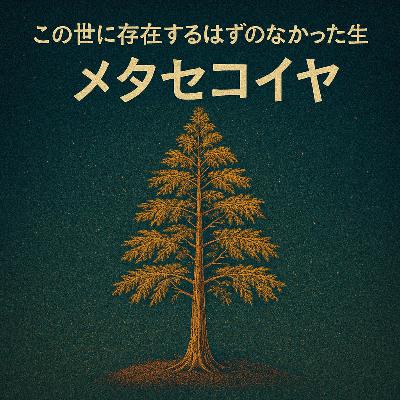 この世に存在するはずのなかった生物、メタセコイヤについて。