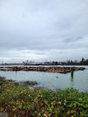 Highlight Of Session In Richmond