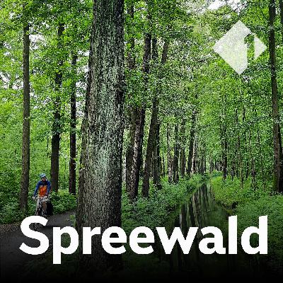Sorben und saure Gurken im Spreewald