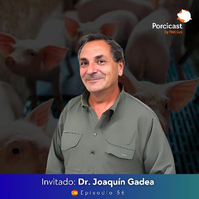 #56 - Edición genética en cerdos: ¿Una salida real al PRRS? - Dr. Joaquín Gadea