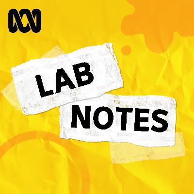 Lab Notes: Move over, NASA — Australia's heading back into space